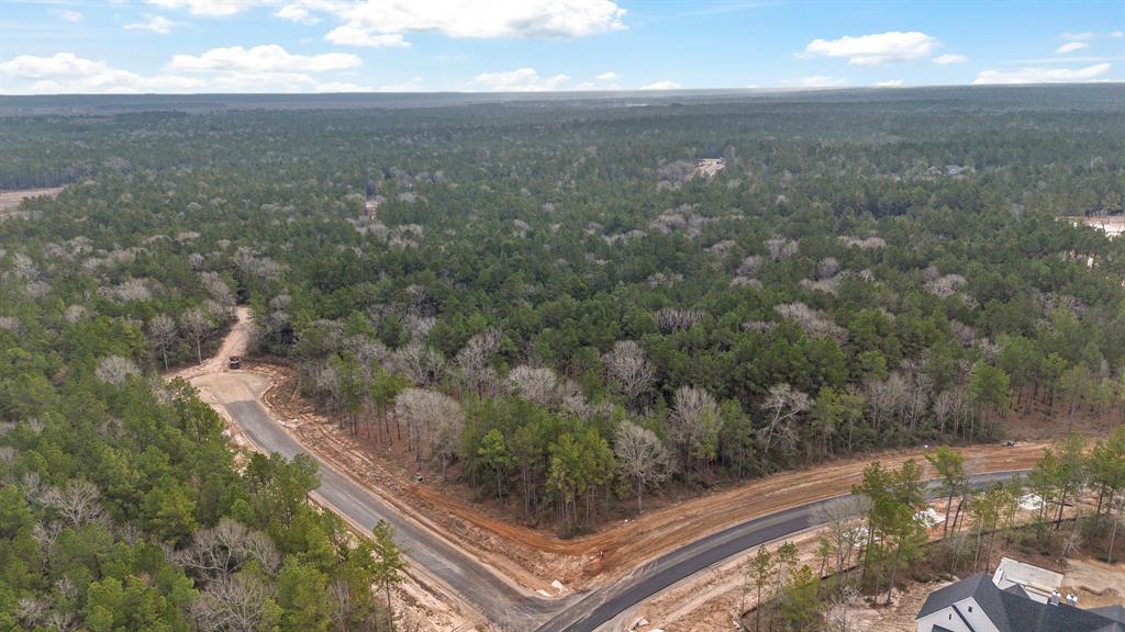 25367 Marfa Lane, Montgomery, Texas image 1