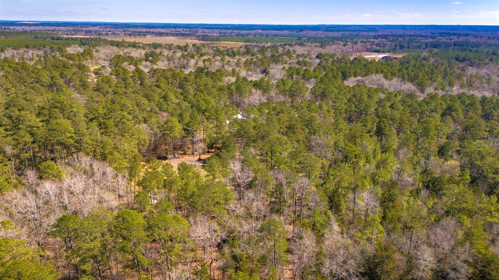 5535 Fm 350, Livingston, Texas image 41