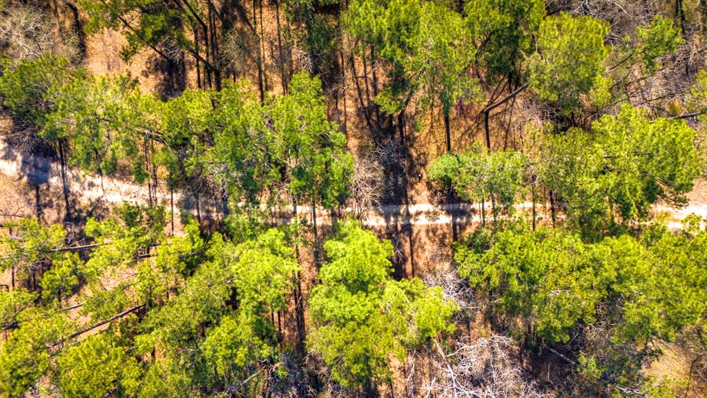 5535 Fm 350, Livingston, Texas image 40