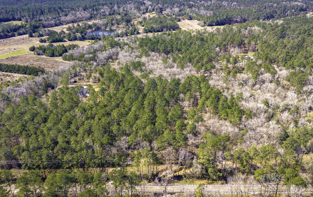 5535 Fm 350, Livingston, Texas image 39