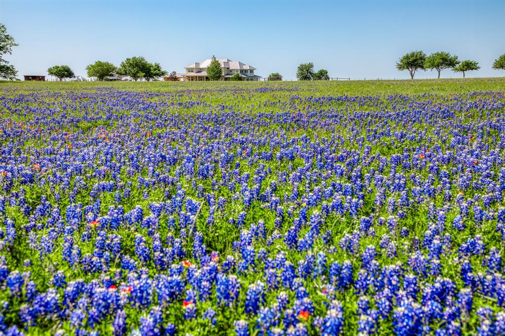 2740 Flewellen Road, Brenham, Texas image 2