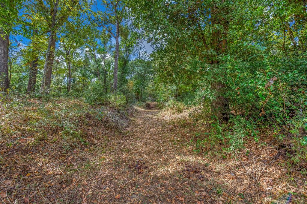 617 County Road 379, Caldwell, Texas image 44