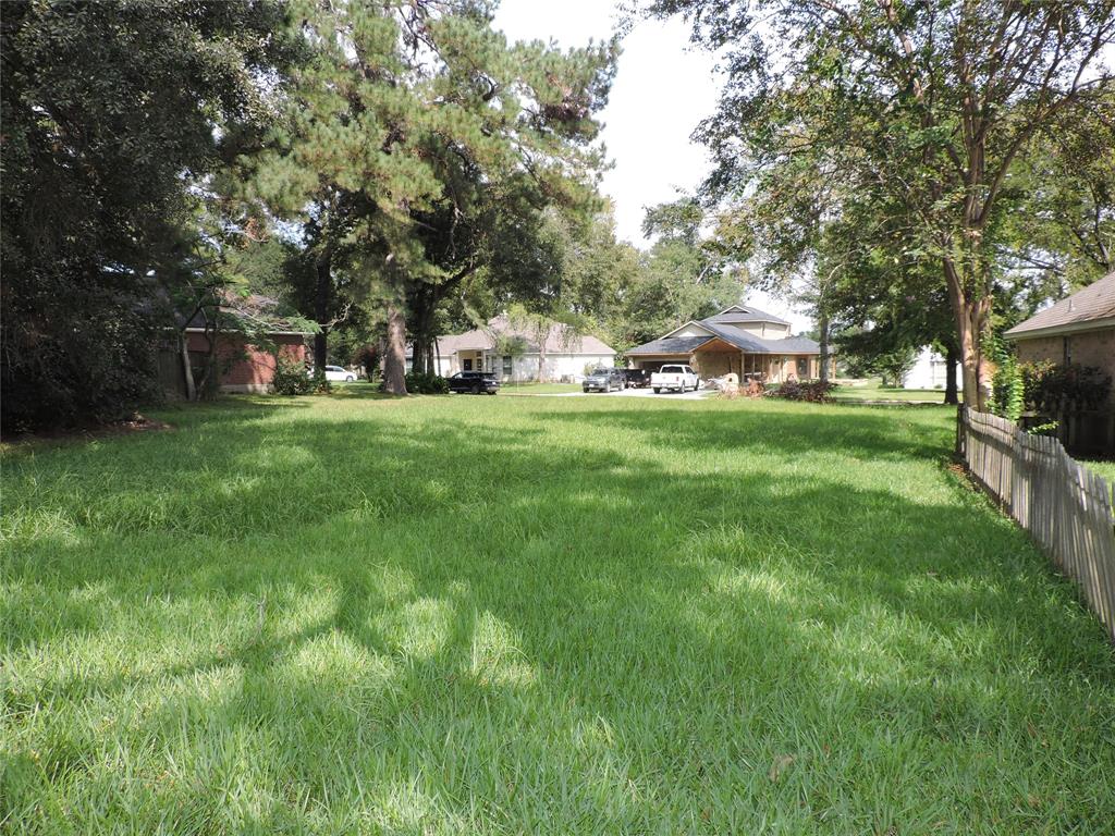 12647 Antares Loop, Willis, Texas image 4