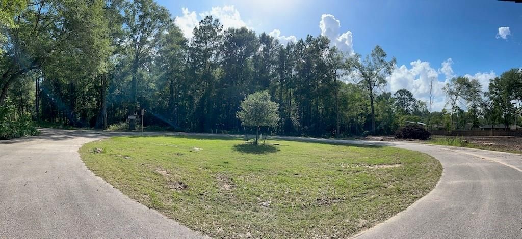 Photo of 32 Scribe Street, Roman Forest, TX 77357 (MLS # 38975474)