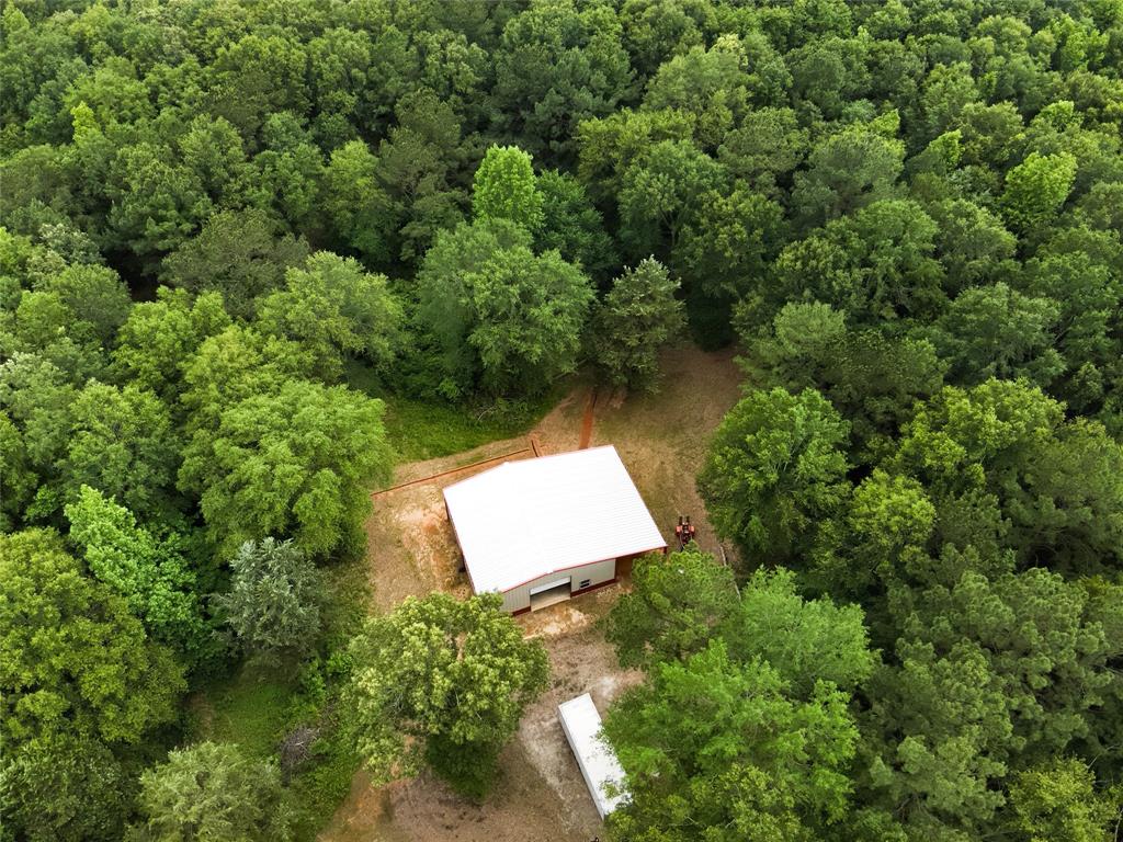 3936 Fm 22, Jacksonville, Texas image 2