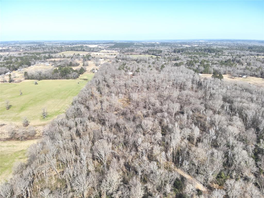 3936 Fm 22, Jacksonville, Texas image 17