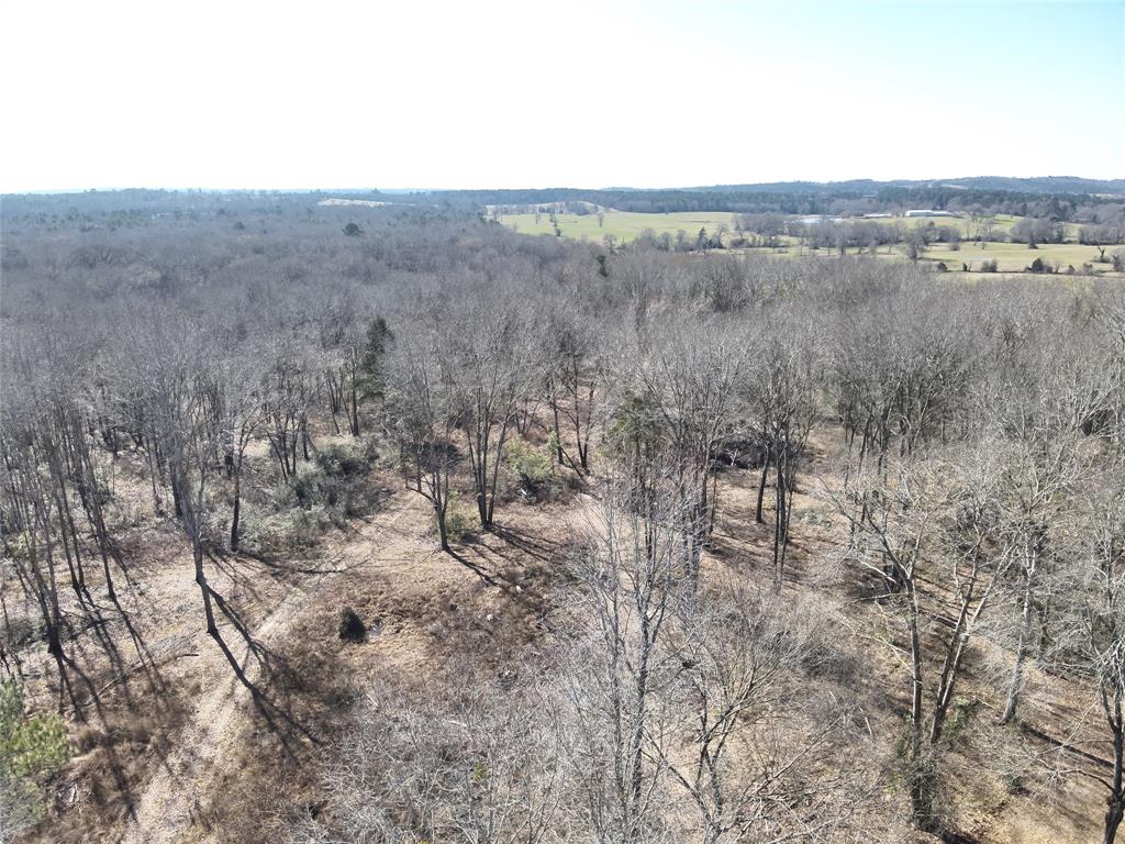 3936 Fm 22, Jacksonville, Texas image 20