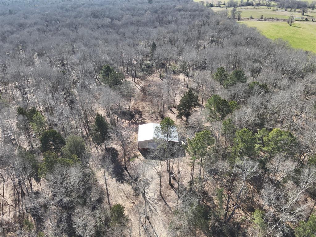 3936 Fm 22, Jacksonville, Texas image 14