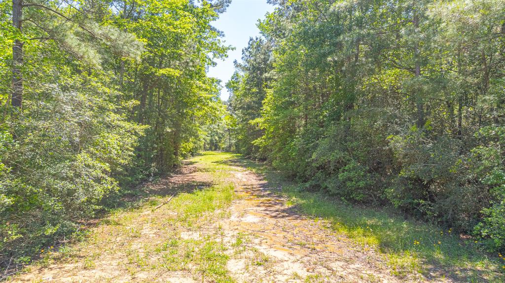 000 Raccoon Bend, Bellville, Texas image 11