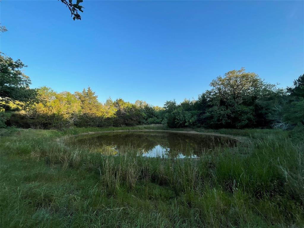 00 Mule Creek Road, Harwood, Texas image 36