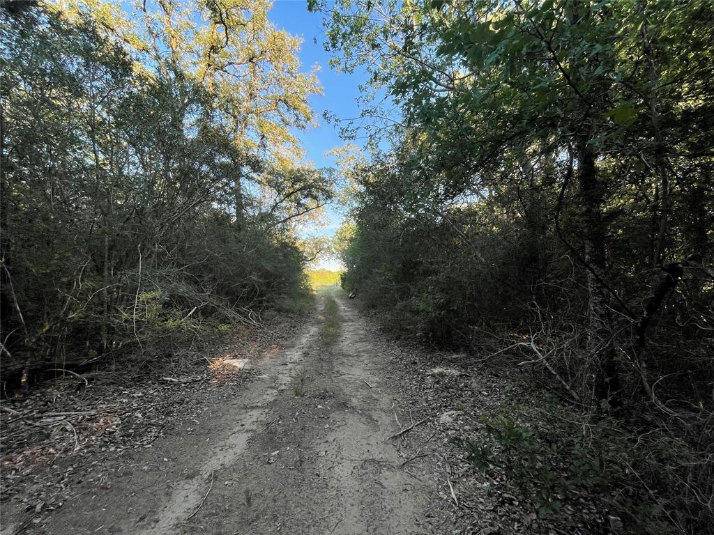 00 Mule Creek Road, Harwood, Texas image 9