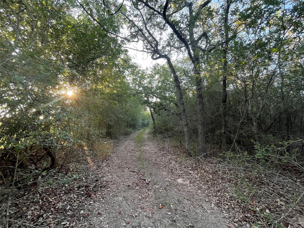 00 Mule Creek Road, Harwood, Texas image 10