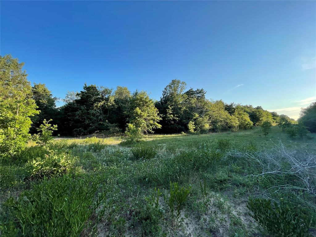 00 Mule Creek Road, Harwood, Texas image 7