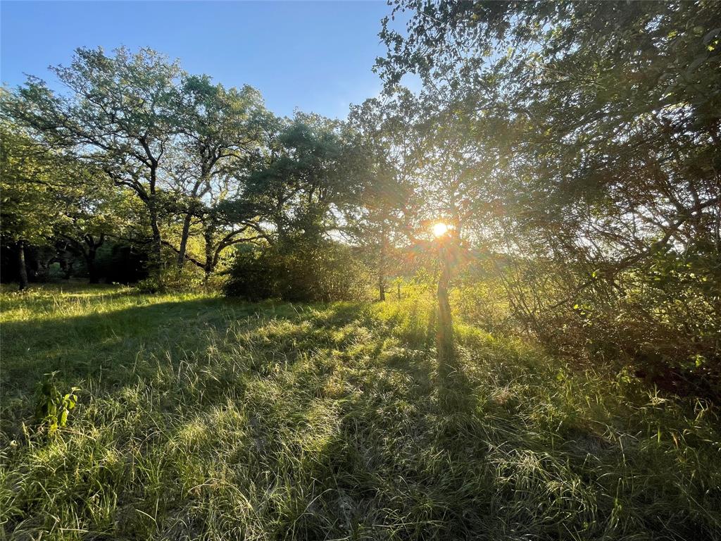 00 Mule Creek Road, Harwood, Texas image 2