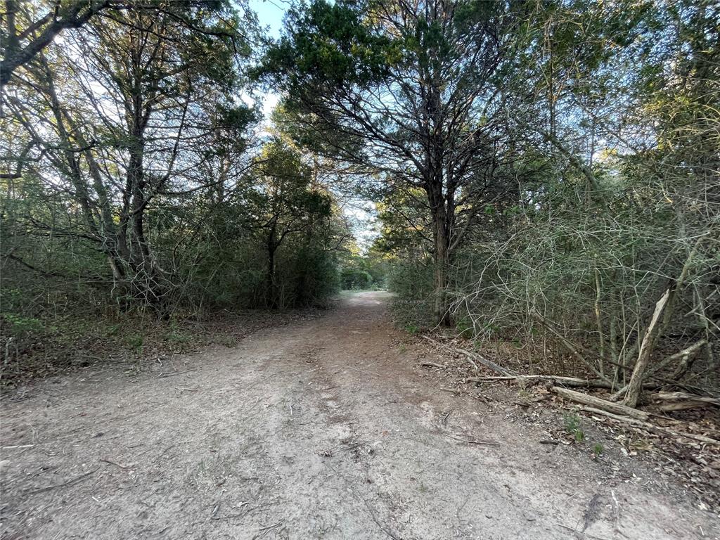 00 Mule Creek Road, Harwood, Texas image 11