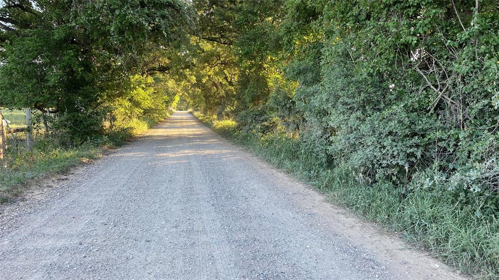 00 Mule Creek Road, Harwood, Texas image 37