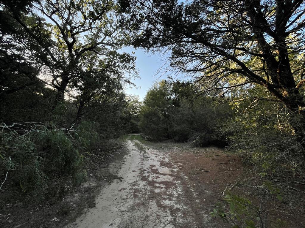 00 Mule Creek Road, Harwood, Texas image 17