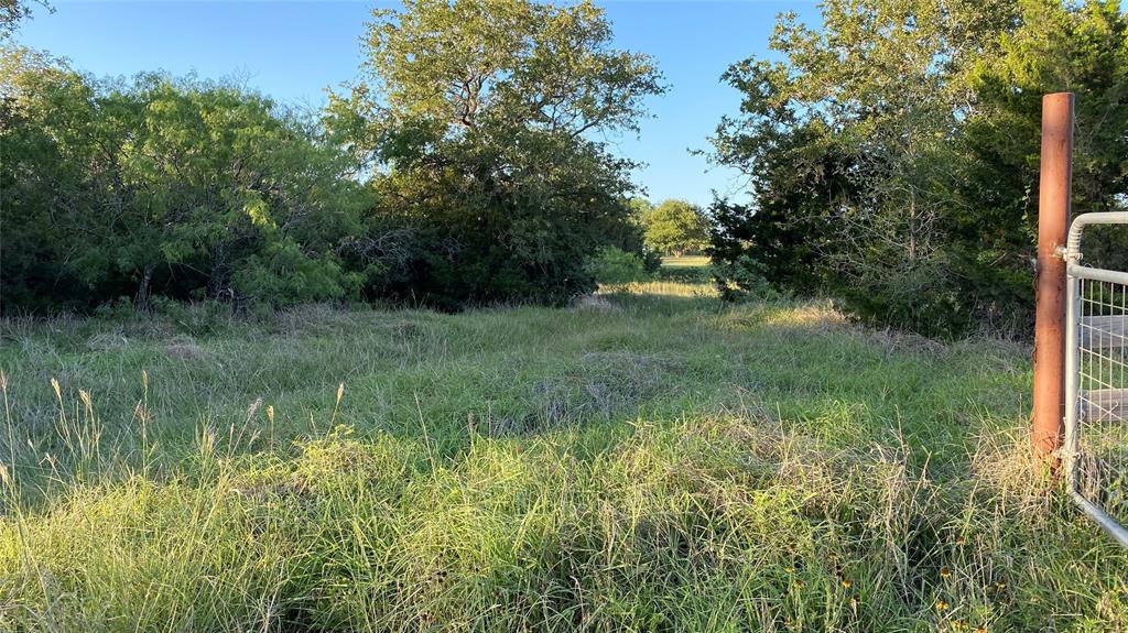 00 Mule Creek Road, Harwood, Texas image 40