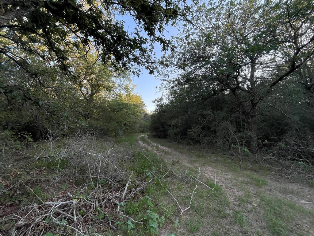 00 Mule Creek Road, Harwood, Texas image 16