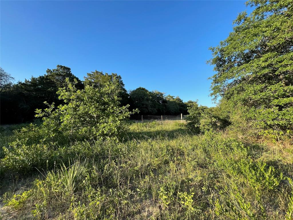 00 Mule Creek Road, Harwood, Texas image 19