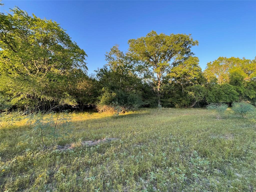 00 Mule Creek Road, Harwood, Texas image 34