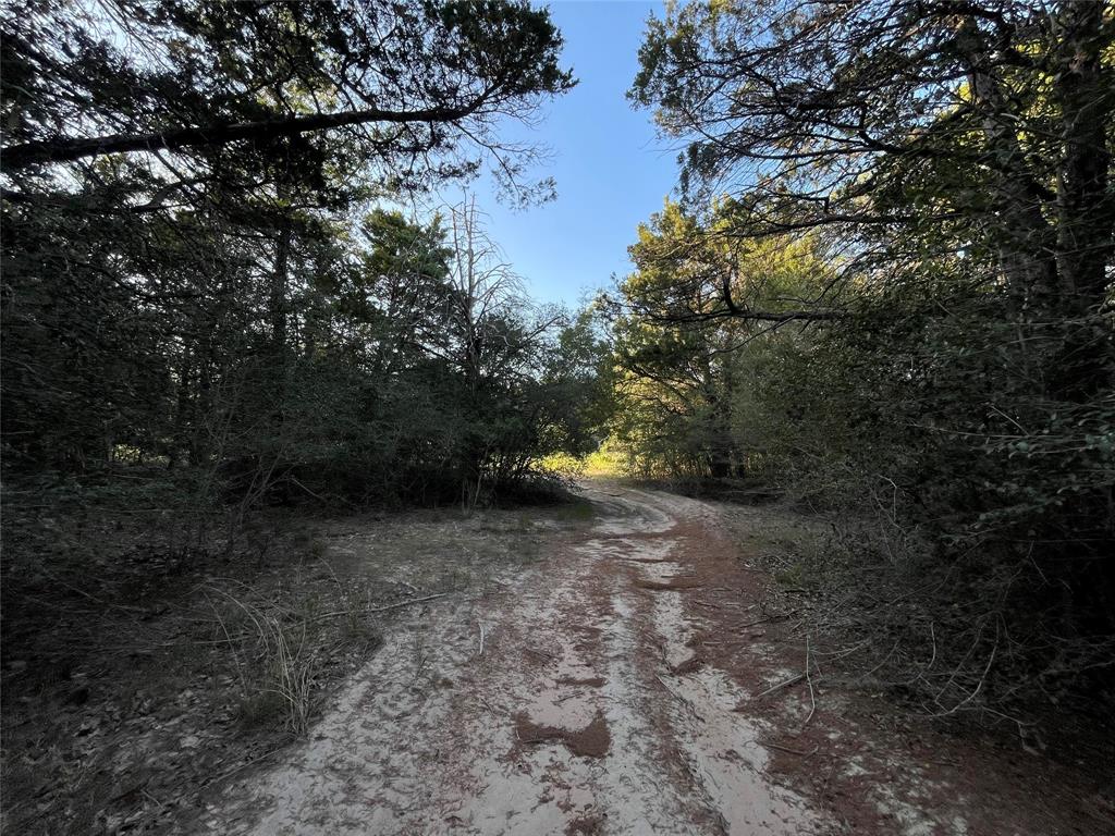 00 Mule Creek Road, Harwood, Texas image 18