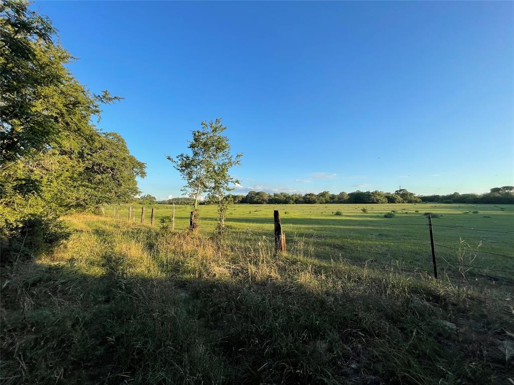 00 Mule Creek Road, Harwood, Texas image 32