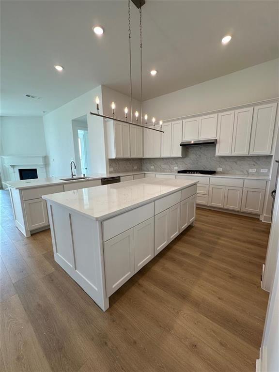 24707 Hibiscus Garden Way