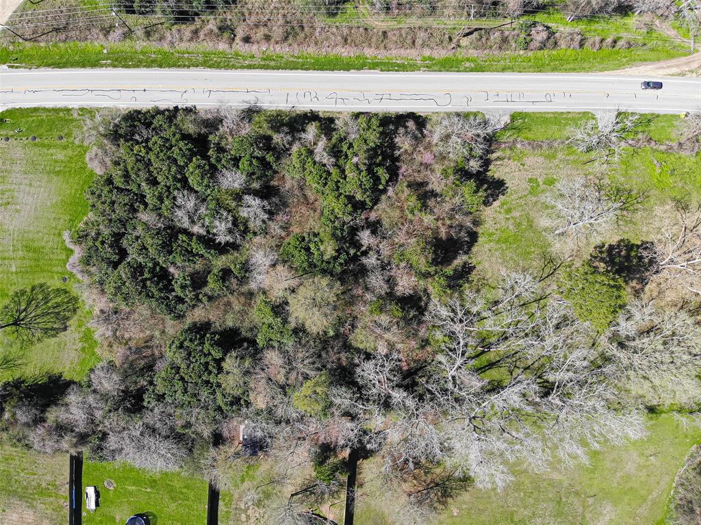 TBD 1.178 Acres Hwy 149, Montgomery, Texas image 24