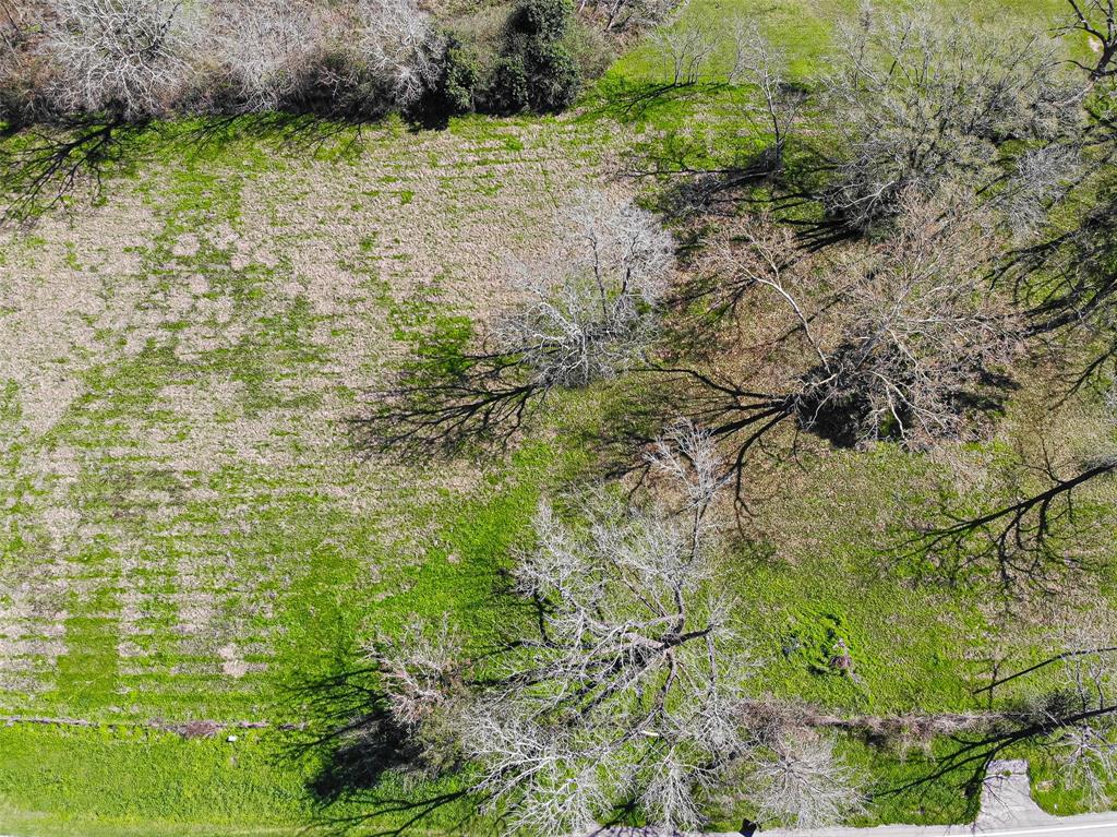 TBD 1.178 Acres Hwy 149, Montgomery, Texas image 25