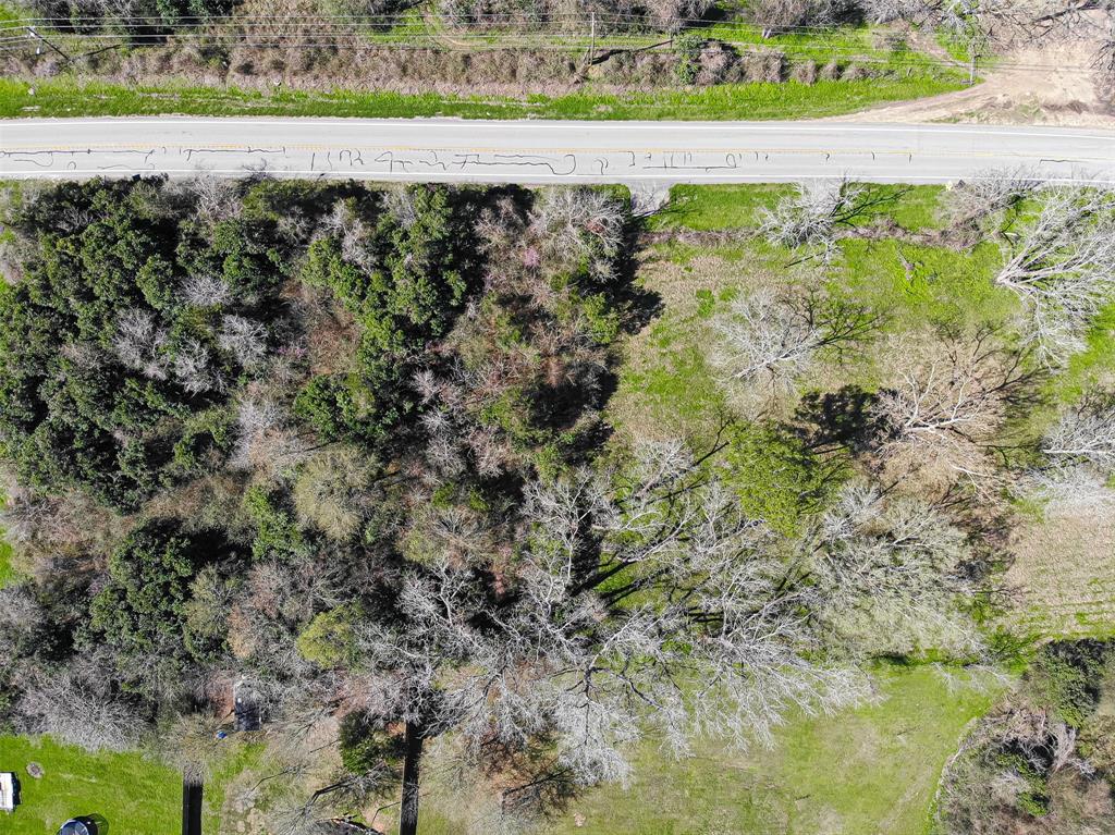 TBD 1.178 Acres Hwy 149, Montgomery, Texas image 23