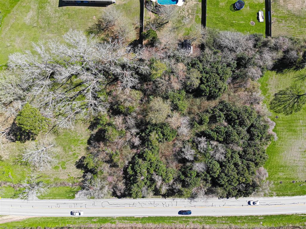 TBD 1.178 Acres Hwy 149, Montgomery, Texas image 19