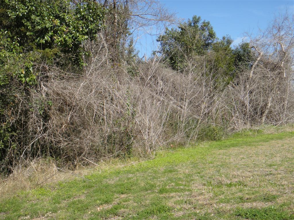 TBD 1.178 Acres Hwy 149, Montgomery, Texas image 8