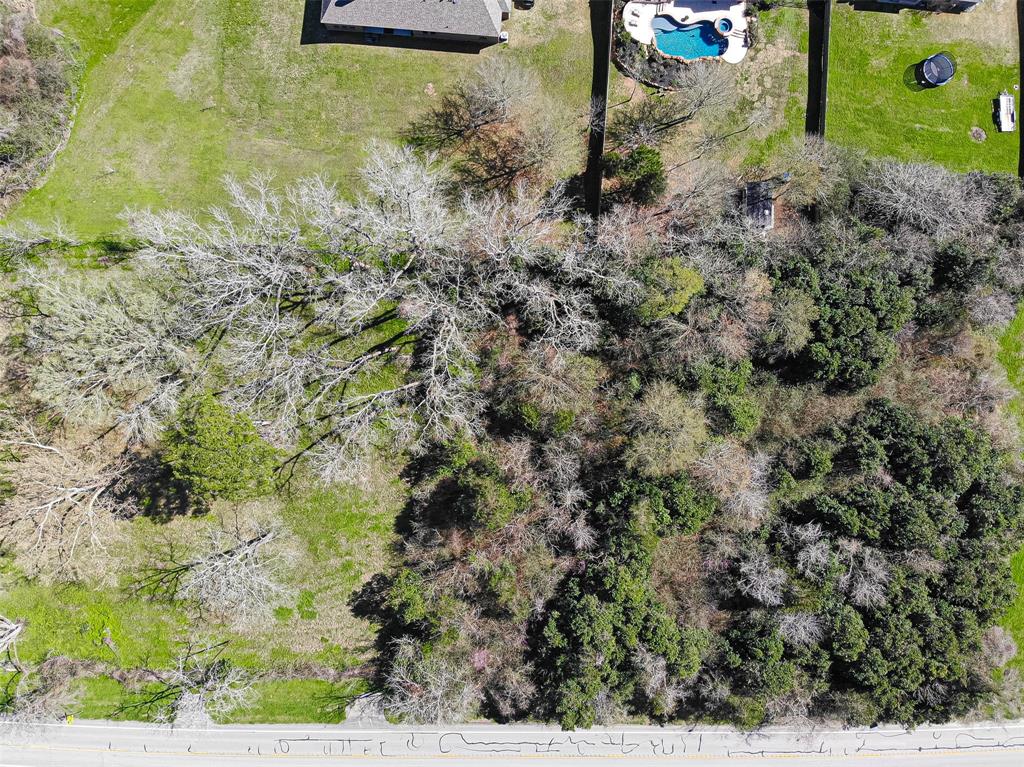 TBD 1.178 Acres Hwy 149, Montgomery, Texas image 13