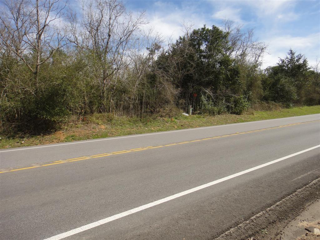 TBD 1.178 Acres Hwy 149, Montgomery, Texas image 6