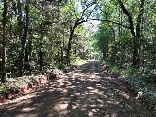 AB 247-2 County Road 416, San Augustine, Texas image 6