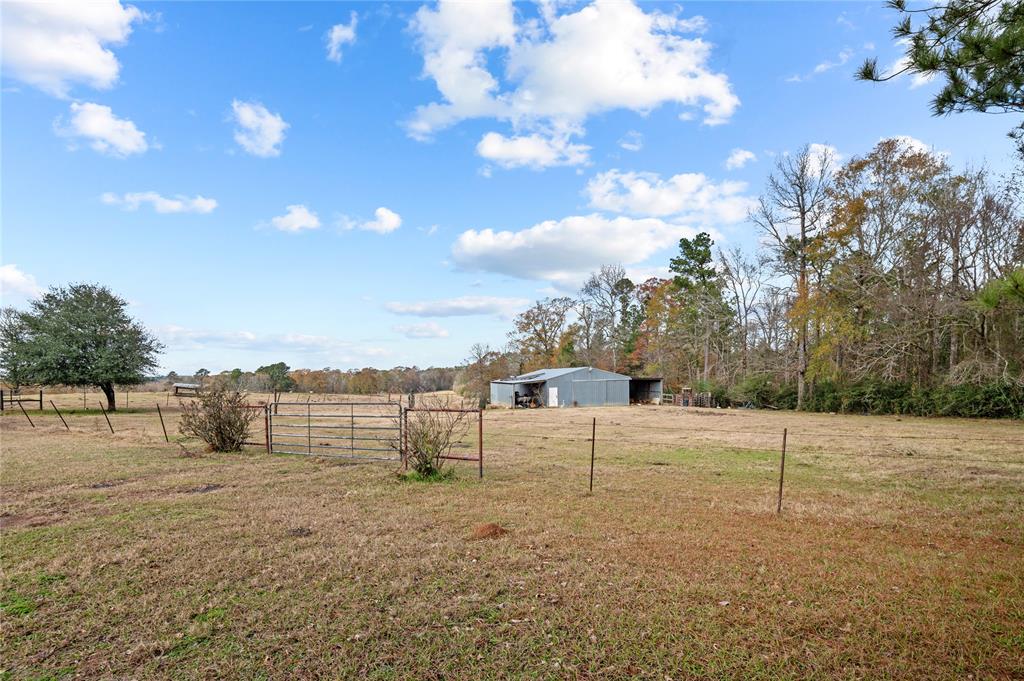 TBD State Highway 87, Shelbyville, Texas image 4