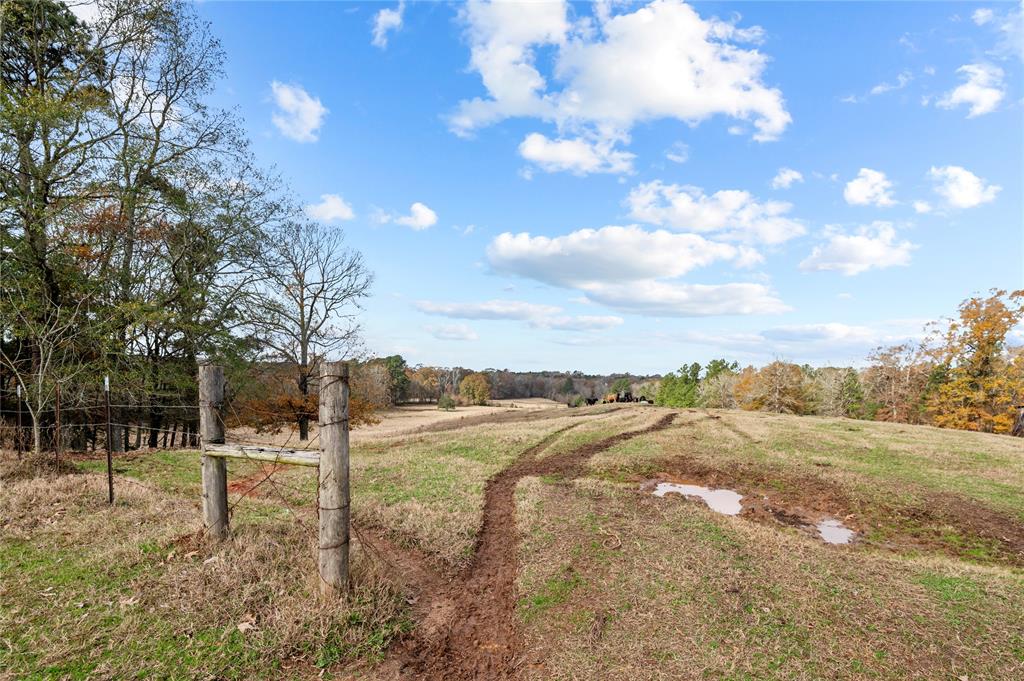 TBD State Highway 87, Shelbyville, Texas image 6