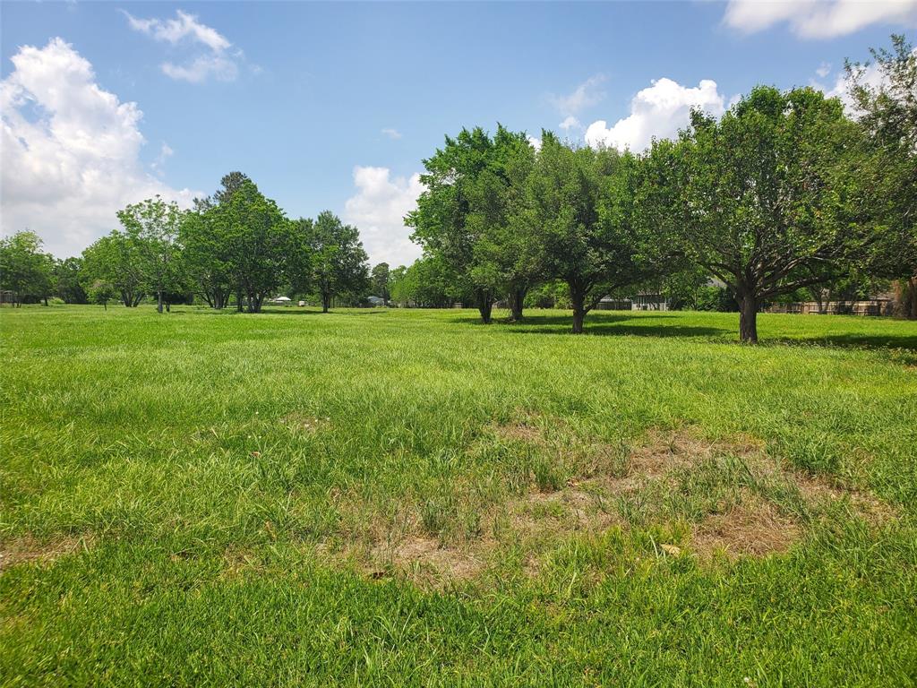 1610 Coryell Street, League City, Texas image 5