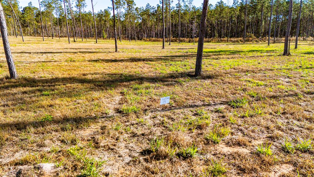 0019 Big Buck Drive, Moscow, Texas image 3