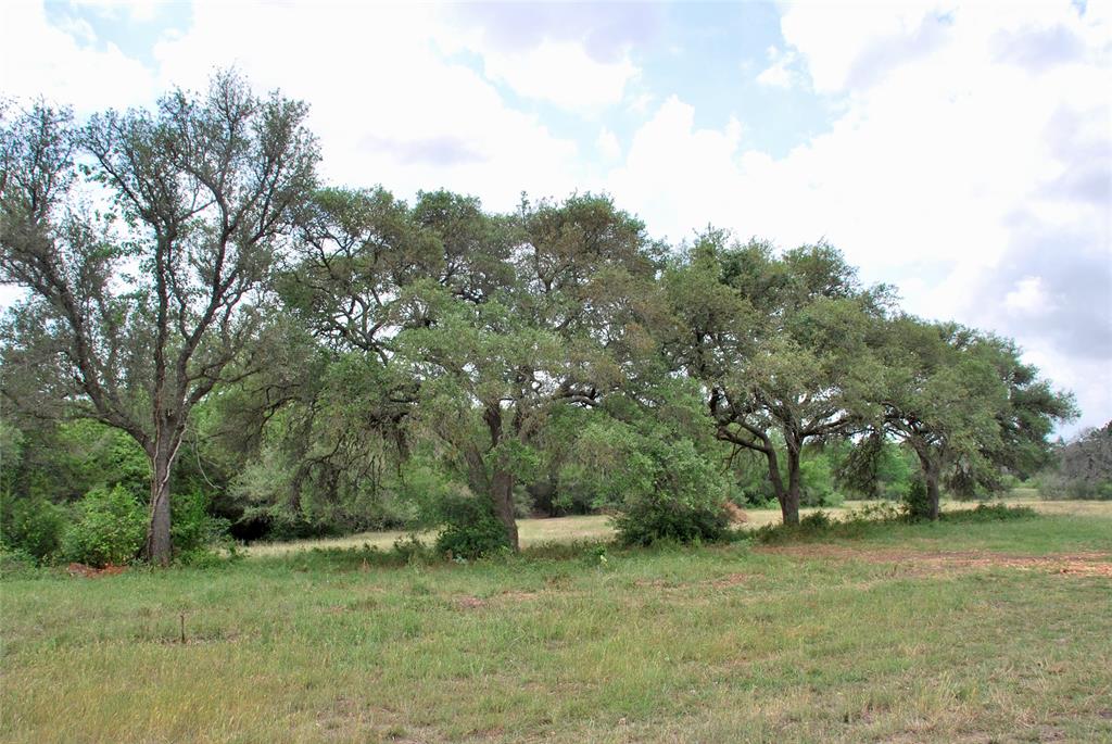 2679 Fm 318, Yoakum, Texas image 1