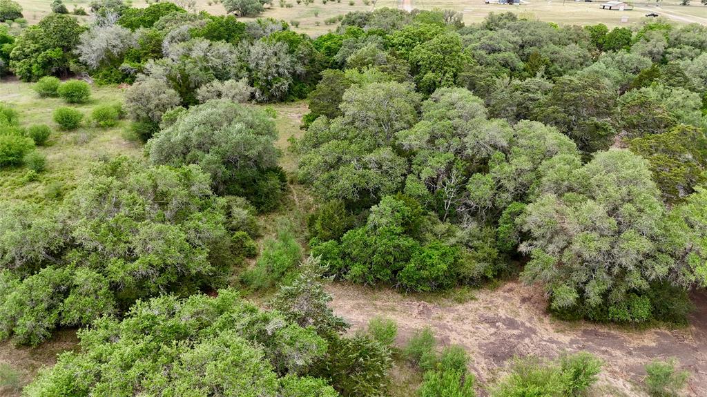 2679 Fm 318, Yoakum, Texas image 27