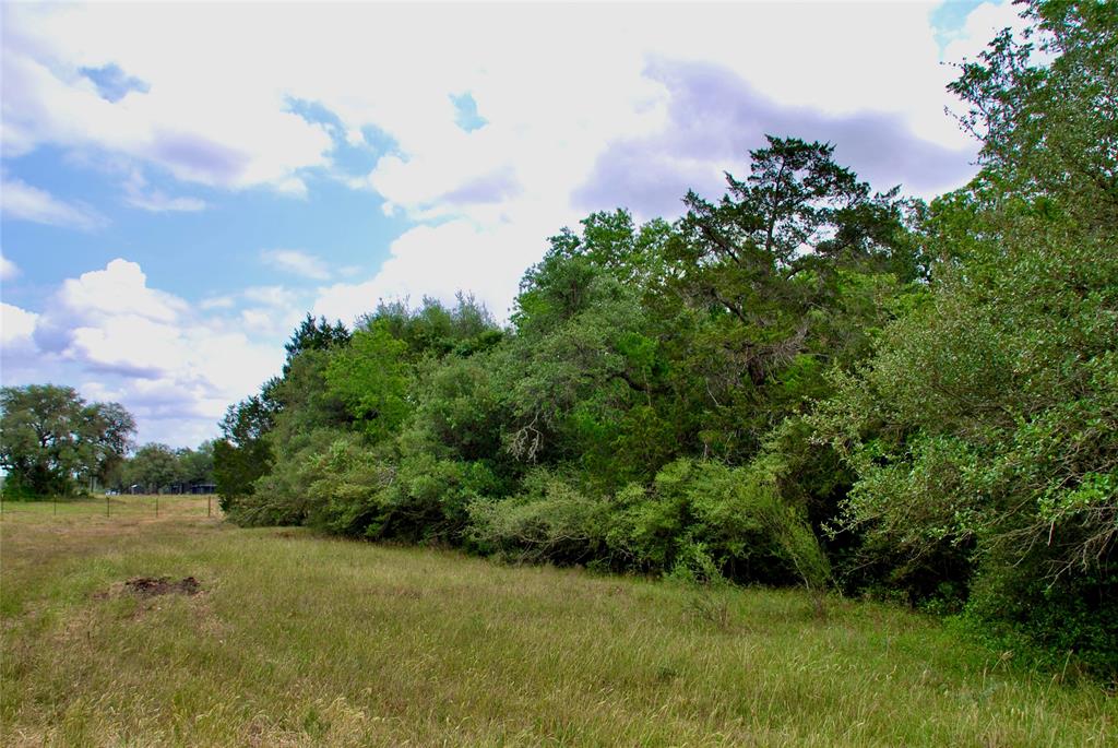 2679 Fm 318, Yoakum, Texas image 10
