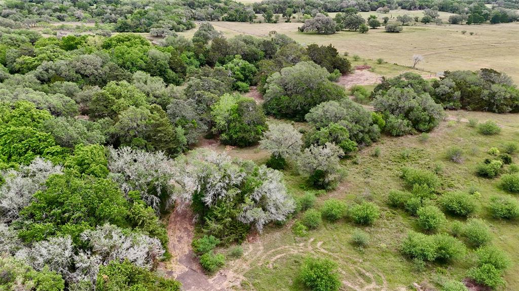 2679 Fm 318, Yoakum, Texas image 25