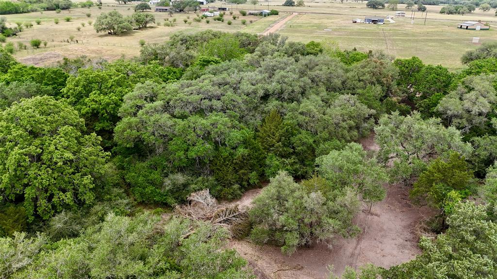2679 Fm 318, Yoakum, Texas image 29