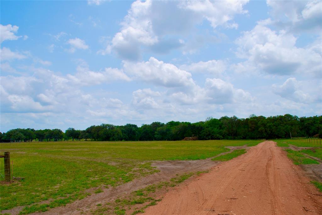 2679 Fm 318, Yoakum, Texas image 8