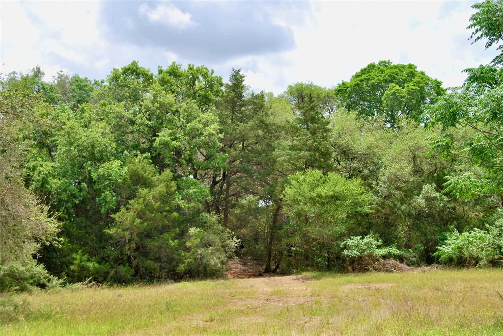 2679 Fm 318, Yoakum, Texas image 12