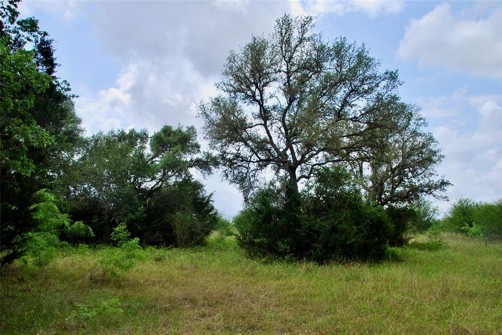 2679 Fm 318, Yoakum, Texas image 33