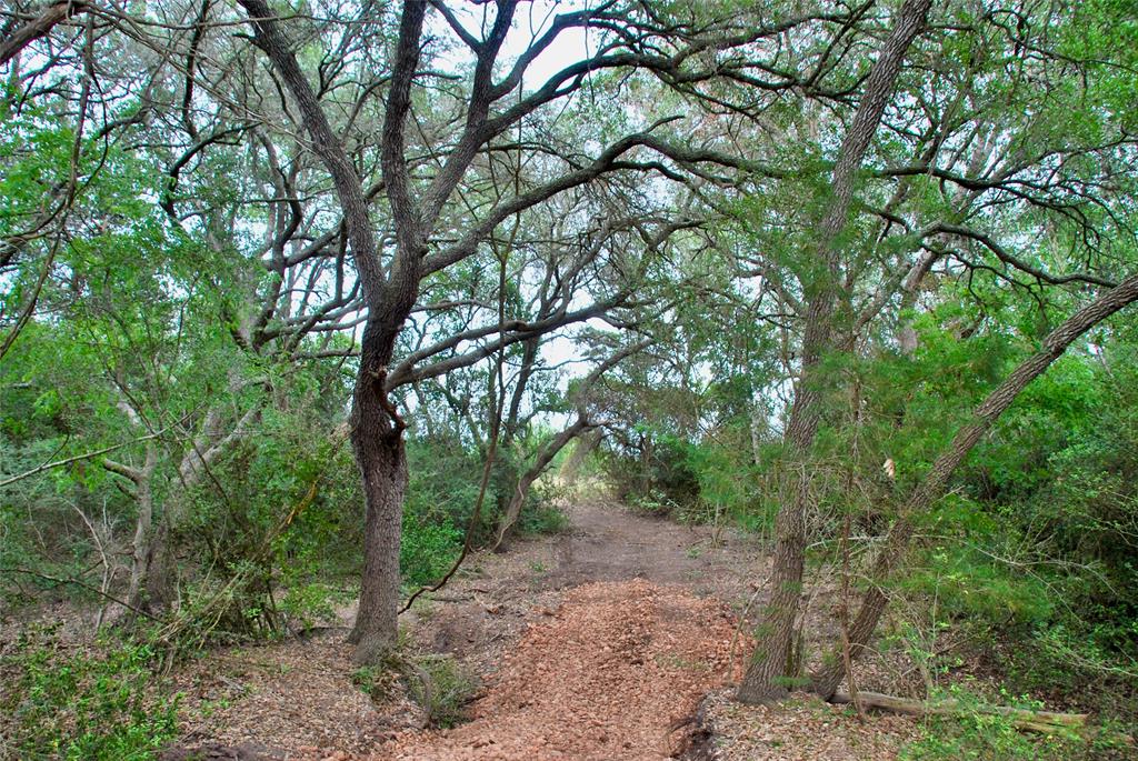 2679 Fm 318, Yoakum, Texas image 15