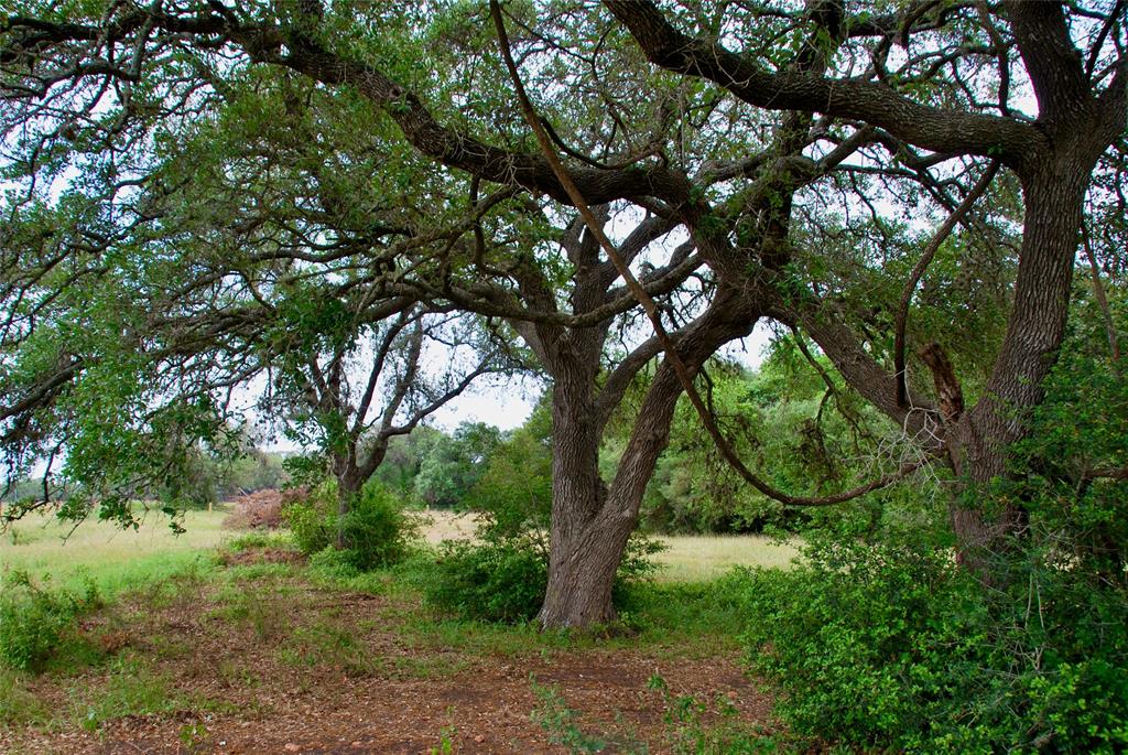2679 Fm 318, Yoakum, Texas image 9